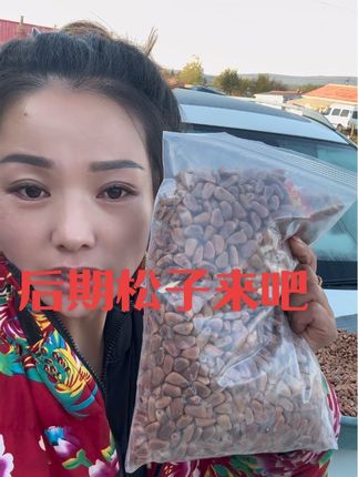 打松子生活结束啦!后期松子下山啦!原生态原味二斤89元顺丰包邮!感谢支持!