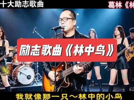 #励志歌曲 盘点十大励志歌曲《林中鸟》葛林