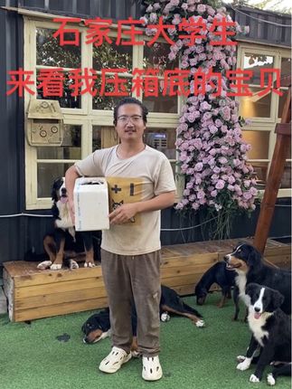石家庄大学生去哪里玩,当然来正定伯恩山狗咖啦,准备压箱底的宝贝等你们十一来玩#可爱的狗宝宝 #萌宠动物 #狗咖#犬爱伯恩山狗咖 #最可爱的狗子