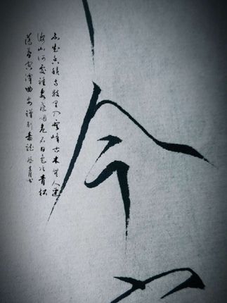 书法里最美的还是瘦金体啊#瘦金体 #书法 #国风 #练字