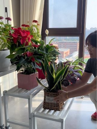 万物各有时令,时令到花儿开#养花 #花架 #爱生活爱养花
