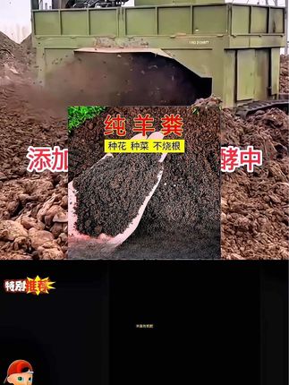 #发酵纯羊粪 #羊粪有机肥 #纯羊粪 #农家肥 #抖音助农
