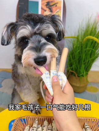 这个肉质鲜嫩,狗狗超爱吃的鸭肉鳕鱼肠,赶紧给家里的毛孩子多囤点吧#宠物零食 #抖in萌宠计划 #猫猫过节专属喵礼请查收