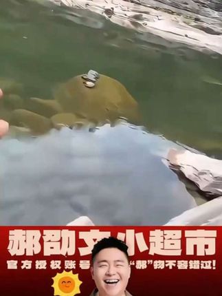 邑仁溪流钓精品打窝颗粒石斑溪哥白条马口红虫蚯蚓打窝料开袋即用