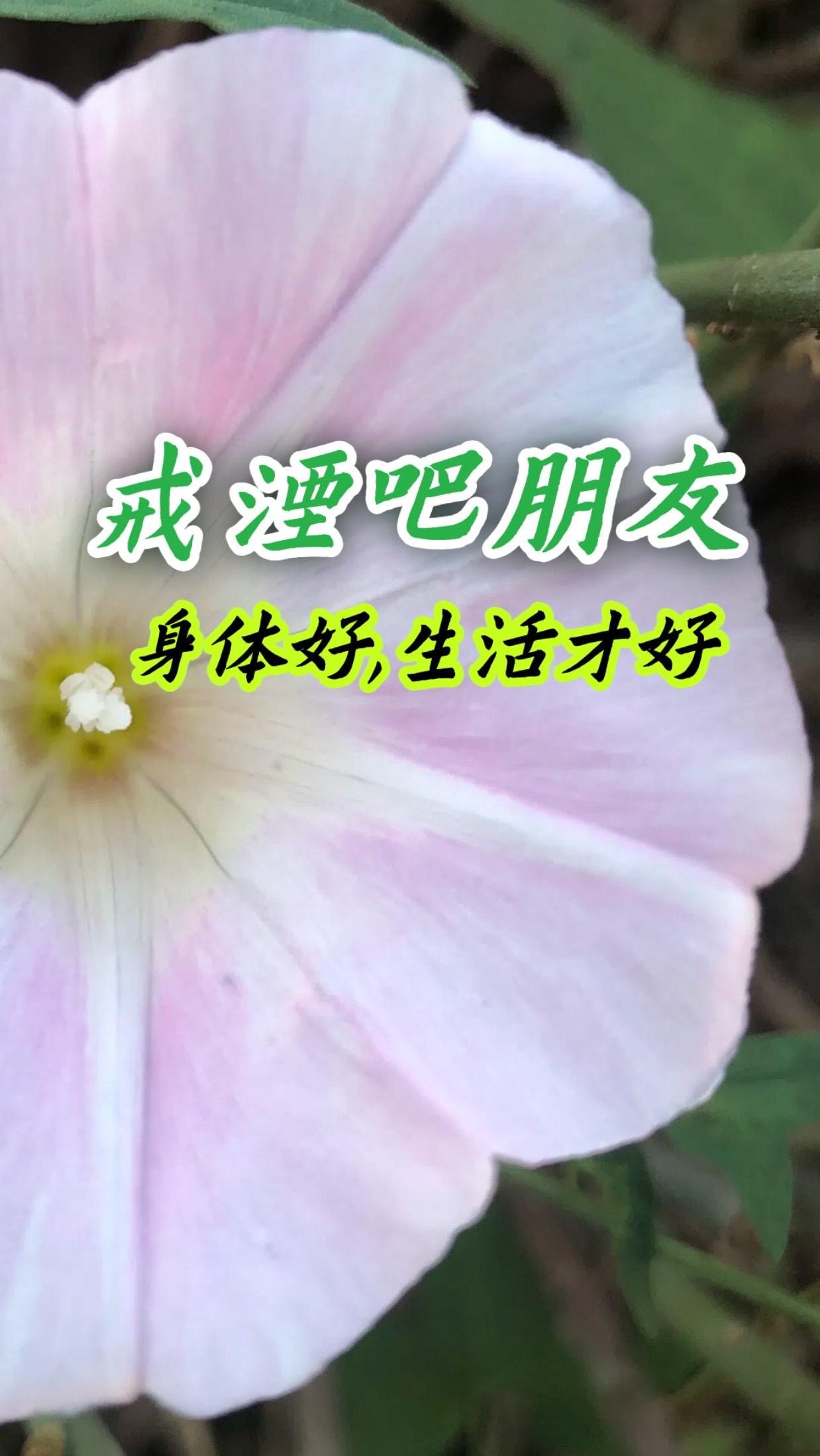 #分享 #糖果 #假期 #国庆 #生活小妙招