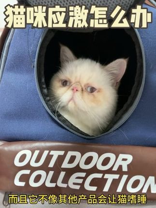 猫咪应激就用它! 建议养猫家庭都备俩盒、关键时刻能救大命!!#费利威#费利威喷雾#猫咪应激#猫咪情绪舒缓