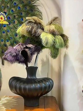 #除尘掸子 掸尘迎新鸵鸟毛鸡毛掸子除尘家用可水洗伸缩打扫宋式居家驼毛掸子#家居好物 #超美 #好货 #美观实用