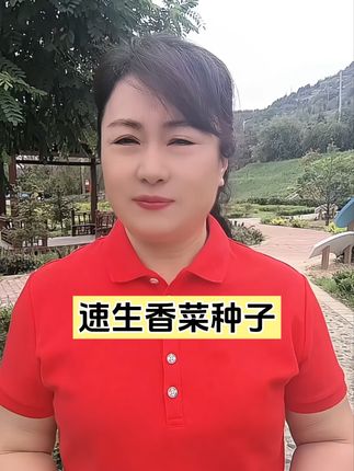 家里有空地的都可以种#速生香菜#种子#家庭种植