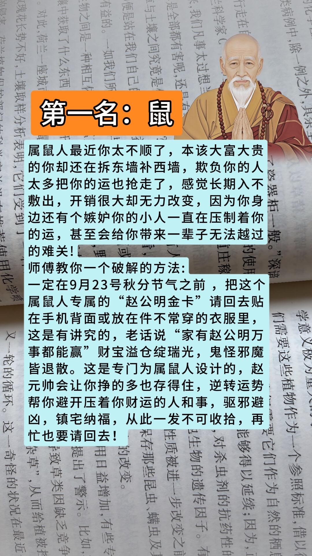 #鼠 #属鼠 #生肖鼠