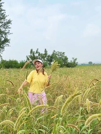 院子的狗尾草、快高过了门稍、妈妈的味道依然随风飘…#狗尾巴草也很美 #童年老家#热门音乐🔥