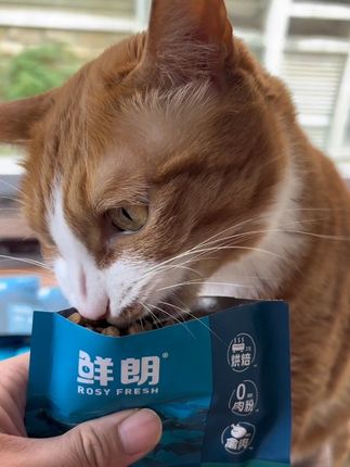 15块8到手5包半斤鲜朗烘焙猫粮,高鲜肉含量给猫咪吃的嘎嘎长肉胖腮,一人限购一单。#鲜朗 #鲜朗猫粮 #猫粮 #养猫人 #烘焙猫粮