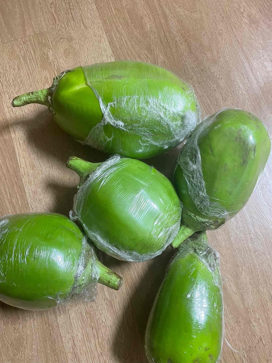 河南农家现摘青茄子,你有吃过这个青茄子吗?这个茄子肉质细腻,不管是生吃,烤着吃还是炒菜吃都好吃#新鲜采摘 #青茄子 #快来一起尝个鲜 #三农