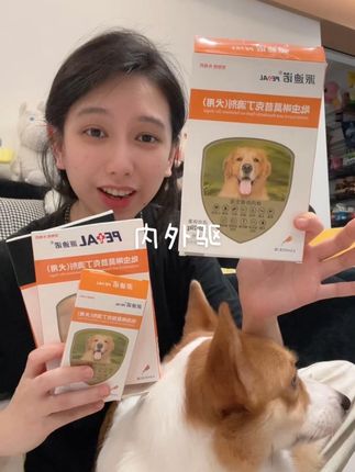 以前一盒的价钱现在到手一整箱,养宠人闭眼入#柯基 #新手养狗 #科学养宠攻略