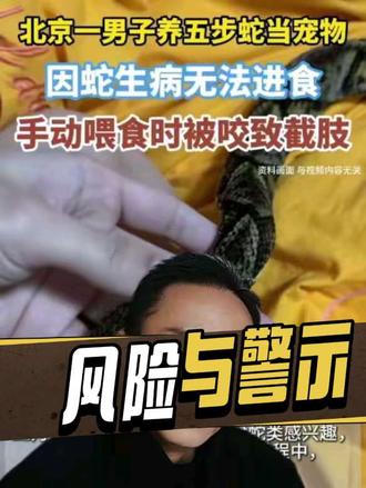 你愿意把毒蛇当宠物吗?#爬宠 #蛇类科普 #不可思议 #异宠 #遵守法律请勿非法饲养或买卖活动