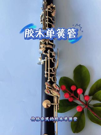 胶木单簧管#萨克斯教学 #原创作品 #萨克斯