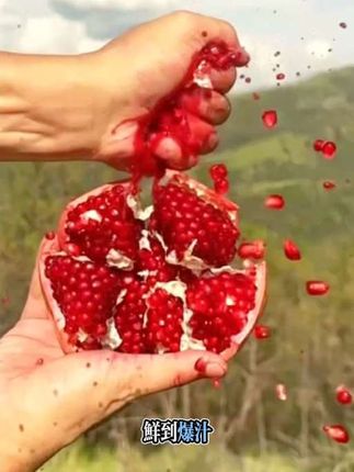 #创作灵感 #优质农产品#现摘现卖#口感特别好 #软籽石榴! 苹果在带货 @DOU+小助手 @抖加🔥上热门🔥dou+🔥热点宝