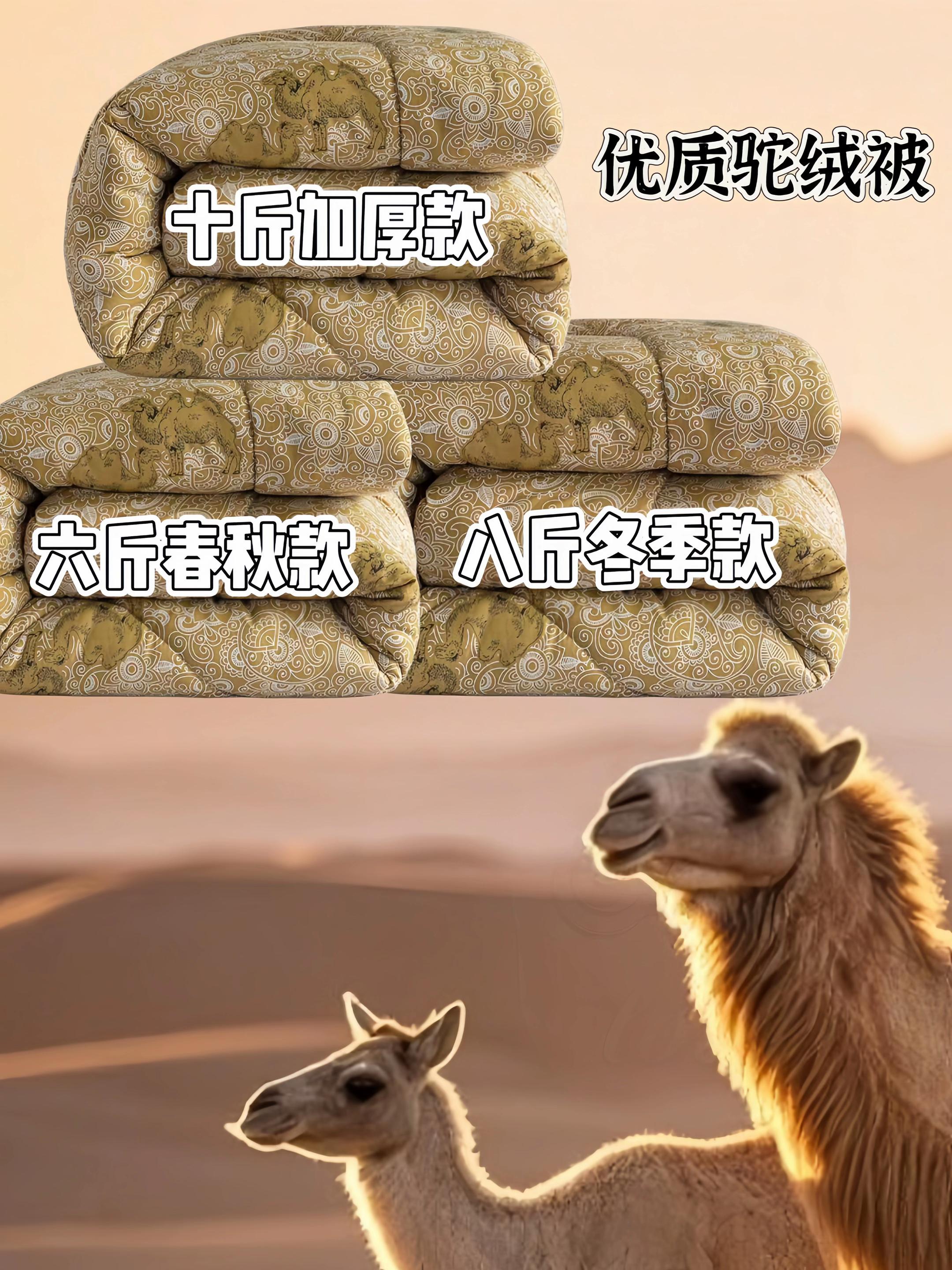 优质驼绒被。咱这驼绒被是真的舒服!首先保暖特给力,北方冬天盖着不压身还暖乎乎的,南方湿冷天也能裹得特严实。其次睡着不闷汗,不像有的被子盖久了浑身潮,它透气劲儿特别好,夜里翻身也没声响,不耽误睡整觉。而且这驼绒蓬松度高,盖好几年都不容易板结,日常随便晒晒就软乎乎的,怕冷又爱舒服的朋友闭眼入准没错!#强烈推荐 #驼绒被 #春秋被 #宿舍被子 #被子
