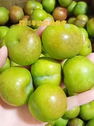 #应季水果 #半边红脱骨李#脱骨李#快来一起尝个鲜