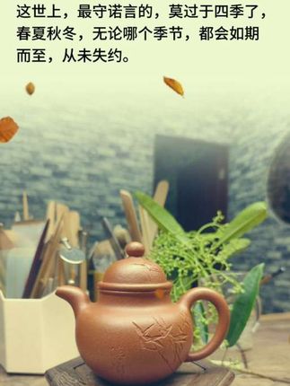 #手艺人 #手艺人在抖音 #紫砂壶 #召唤茶友 #遇见