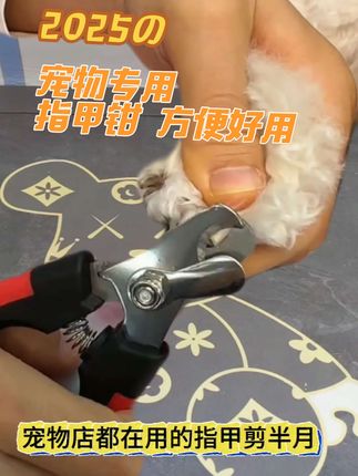 宠物专用指甲钳,还有小锉刀,便宜又好用!#指甲剪 #宠物专用指甲剪