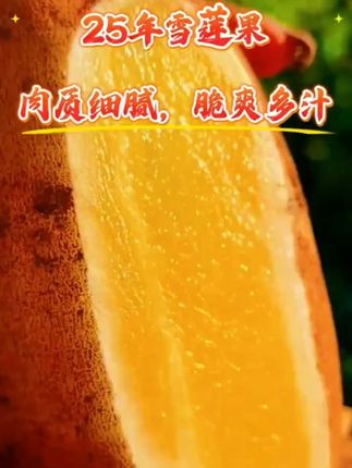 #雪莲果成熟了 #雪莲果脆甜多汁 #现挖现发新鲜到家 #家乡特产。#优质农产品原产地