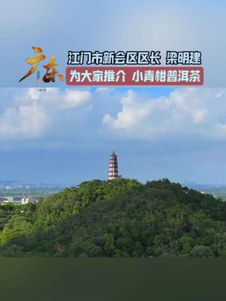 #新会小青柑 #小青柑普洱茶 #广东dou知道 #特色农产品 #我为家乡代言