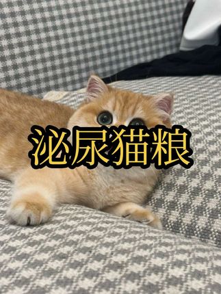 #澳龙泌尿呵护粮#澳龙呵护粮#澳龙处方粮