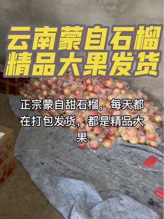 #新农人计划 #应季水果 #蒙自石榴 #石榴 #软籽石榴