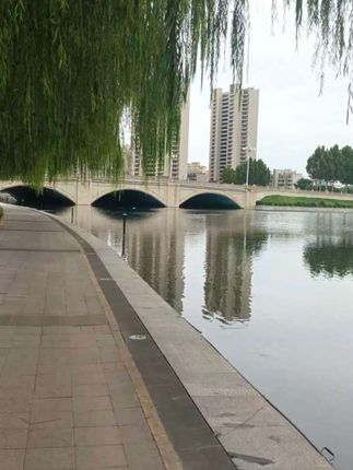 信不信?一件万能搭的T恤能盘活你秋冬整个衣橱#穿搭 #T恤 #秋冬穿搭 #内搭外穿都好看
