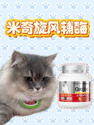铲屎官千万不要忽视这些情况! #米奇旋风 #猫咪辅酶q10 #猫咪心脏病 #猫咪健康 #辅酶q10