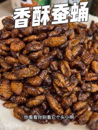 这个香酥蚕蛹真的太好吃了 香香酥酥吃着超级过瘾 爱吃的赶紧冲#解馋 #这也太好吃了 #香酥蚕蛹