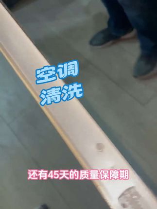 #专业的事情交给专业人去做 啄木鸟全国连锁