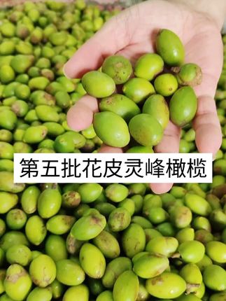 灵峰橄榄 花皮灵峰橄榄 好吃不好看! 经济实惠,好吃不贵! #灵峰橄榄 #凌峰橄榄 #花皮灵峰橄榄