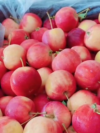 #东北沙果酸甜脆口#嘎嘎好吃#