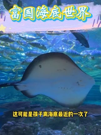 这个假期就来富国海底世界看鲨鱼吧#北京富国海底世界#国庆假期被安排明白了#中秋节#美人鱼表演