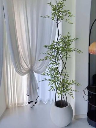 室内盆栽南天竹 #南天竹#仿真南天竹 #生活美学 #极简主义 #品质生活