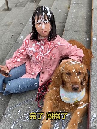 金毛多多的成长