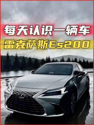 揸得凌志,人生如意!! #雷克萨斯es200 #凌志 #男人的梦想座驾 #dou是好车