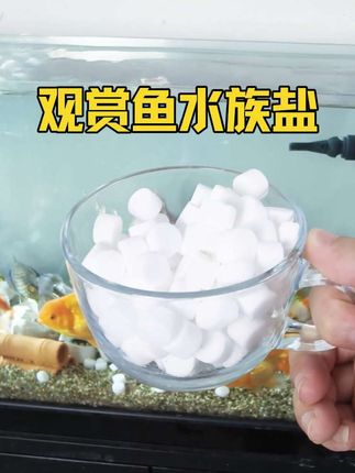 #水族盐#净水#养鱼日记#观赏鱼养鱼常备净水盐