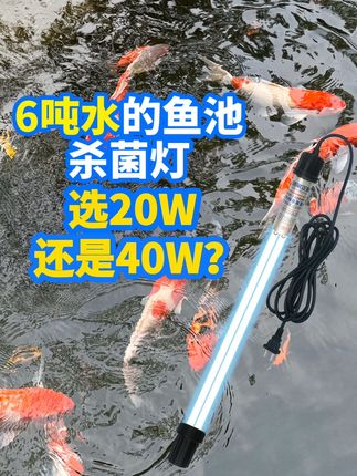 6吨水的鱼池,杀菌灯选20瓦还是40瓦,有依据!#每天跟我涨知识 #鱼池杀菌灯 #鱼池水绿 #鱼池水浑浊怎么变清