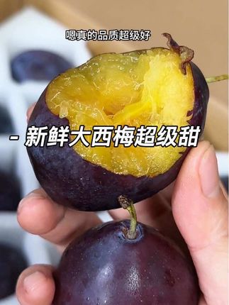 她家这个新鲜西梅的品质真的贼高,个头超大,营养丰富酸甜爆汁!满满的膳食纤维,囤一箱全家都能一起吃#大西梅 #水果 #新鲜应季水果 #优质农产品 #蓝蜜西梅