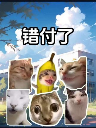 这十年我给了你富足的生活; 结果你现在却要原主回来? #文荒推荐 #脑洞大开 #修仙 #猫meme #猫meme小剧场
