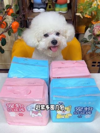 十一假期要带狗狗出门玩的家长,一定要提前备上这个便宜又好用的尿不湿!#萌宠好物 ##新手养狗 ##狗狗尿不湿 #狗狗纸尿裤