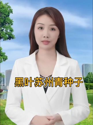 #在家种菜 自己在家就能种这个黑叶苏州青,好吃好种有营养