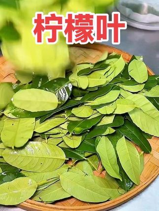 原来吃高压锅生蚝是可以加柠檬叶蒸,去腥,各种美食的调味料#柠檬叶