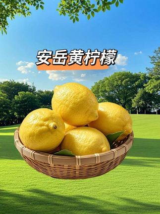 #安岳黄柠檬#新鲜采摘#颗大饱满#汁水饱满 #产地直发