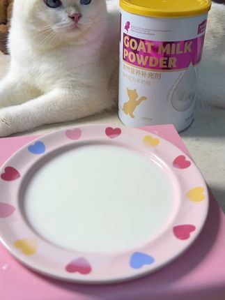 常喝羊奶的猫咪长得更壮实!麦富迪羊奶粉更贴近母乳,快给小猫咪安排上吧!#新手养猫 #萌宠好物#猫咪羊奶粉 #麦富迪#宠物羊奶粉