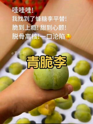 挖到宝了家人们!蜂糖李的平替被我找到了——就是这脱骨李!,咬一口直接惊掉下巴,脆到牙齿都在跳恰恰,甜得像把蜜罐子揣进了嘴里,从舌尖甜到心尖儿~最绝的是它脱骨离核的本事,果肉和果核乖巧分离,一口塞进嘴里全是纯纯的清甜果肉,根本停不下来!谁吃谁沦陷,信我,冲就对了! #脱骨李#李子熟了#新鲜应季水果#脆甜多汁#口感特别好