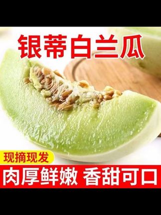 京东到家|甘肃民勤沙漠银蒂白兰瓜软糯香甜口口爆汁整箱包邮#白兰瓜 #白兰瓜的热量 #甘肃白兰瓜 #瓜 #水果