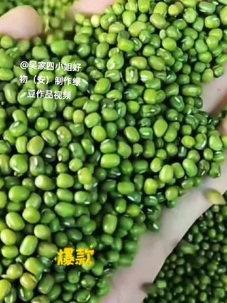 创作灵感@吴家四小姐好物(安)制作绿豆有机绿豆 500g/瓶 新鲜夏季绿豆汤绿豆粥绿豆沙煮粥消暑皮薄杂粮谁吃谁喜欢太棒了爱发明@抖音小助手我要上热门
